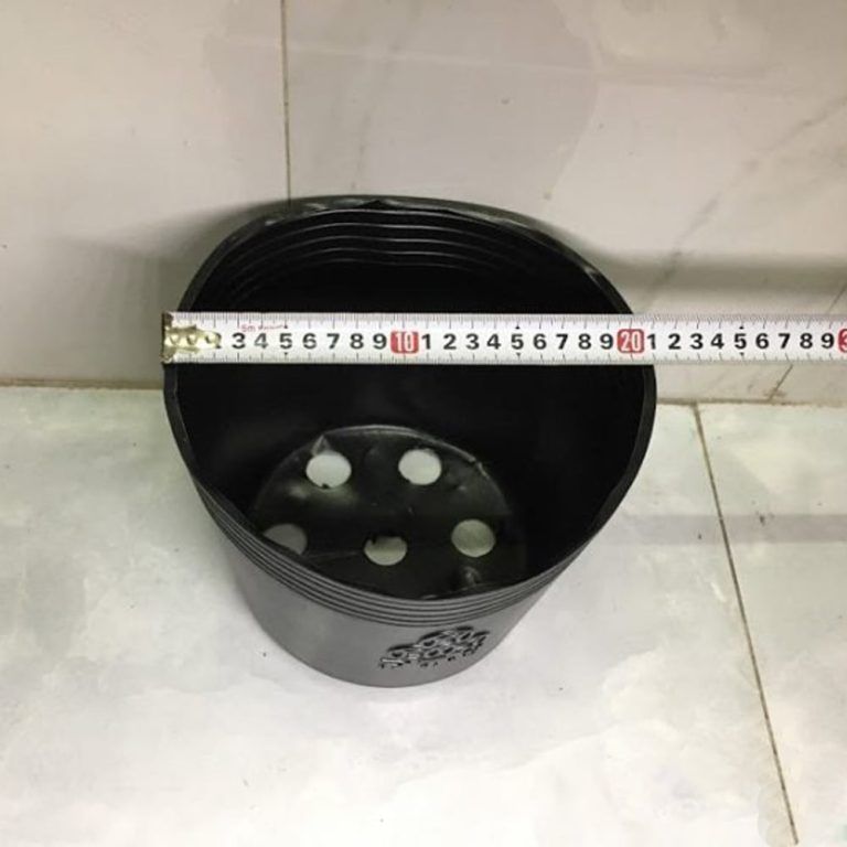 Chậu nhựa ươm cây mềm màu đen Chậu nhựa PP chịu lực tốt, chịu ẩm, nhiệt cao, bền ảnh 4 — chậu cây để bàn gần đây