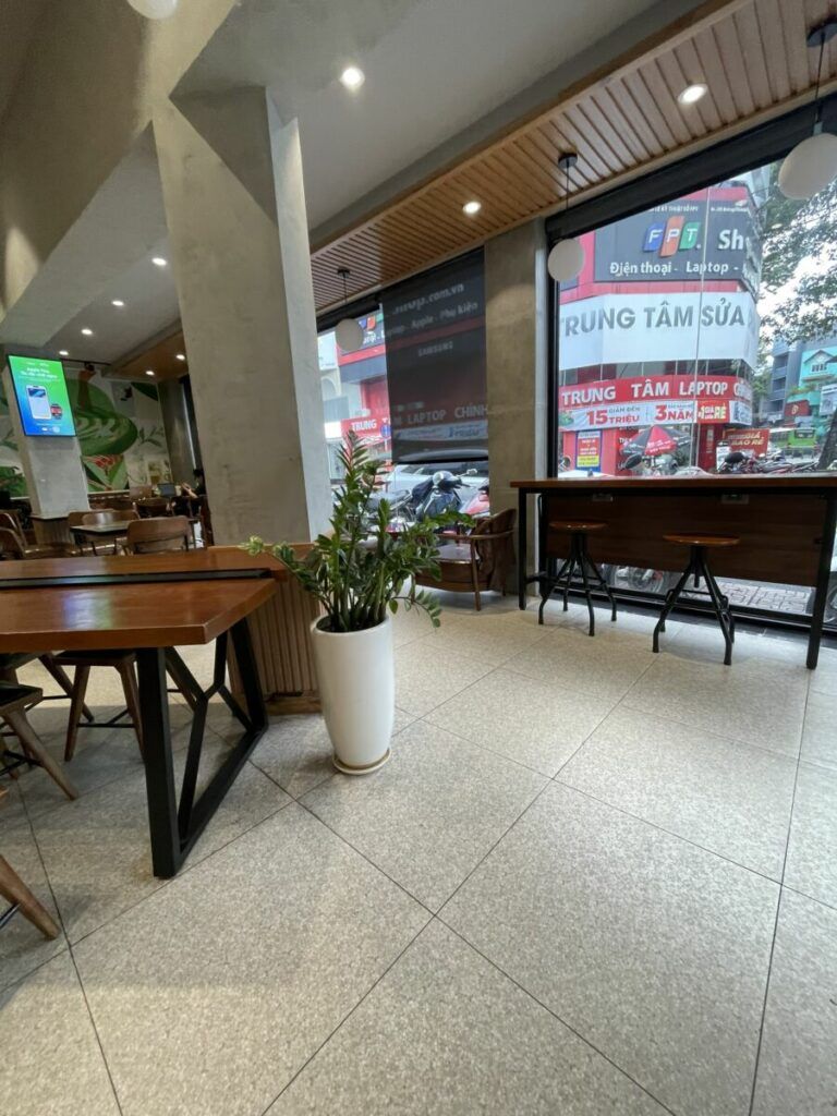 Chậu cây Kim Tiền để trong quán cà phê — chậu cây để bàn quận 7