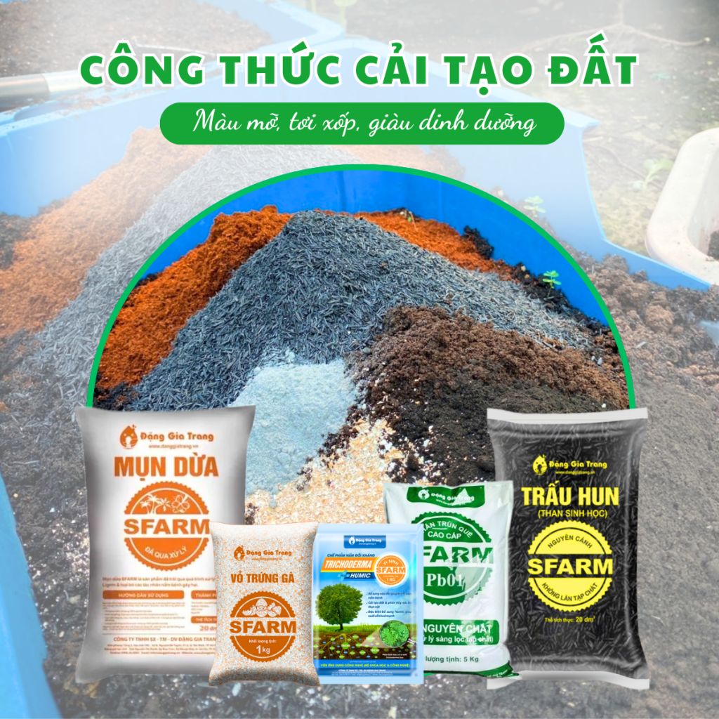 Combo cải tạo đất tơi xốp, giàu dinh dưỡng Tại CH TP. HCM ảnh 1 — cây để bàn hợp với tuổi đinh mão 1987