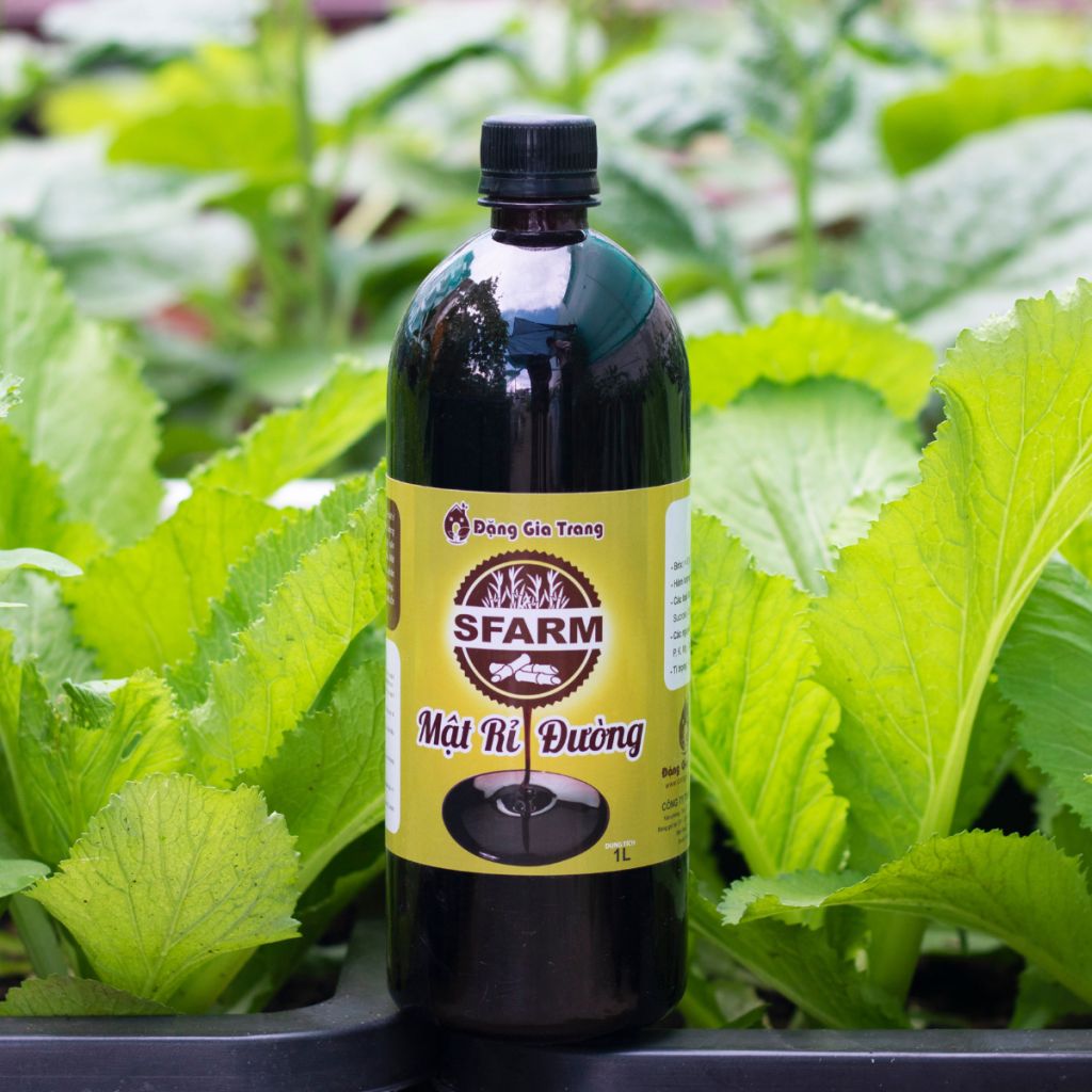Mật rỉ đường SFARM (Chai 1 lít) – Nuôi cấy vi sinh, ủ phân bón và rác thải hữu cơ, xử lý nước thải, nông nghiệp, chăn… —…
