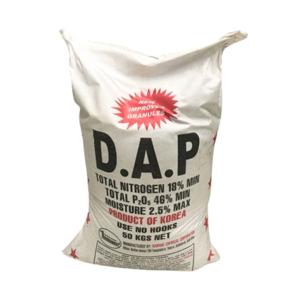 Phân DAP Hàn Quốc (Bao 50kg) Phân bón tăng trưởng cho cây ăn trái, rau lá ảnh 3 — cây để ở bàn thờ thần tài