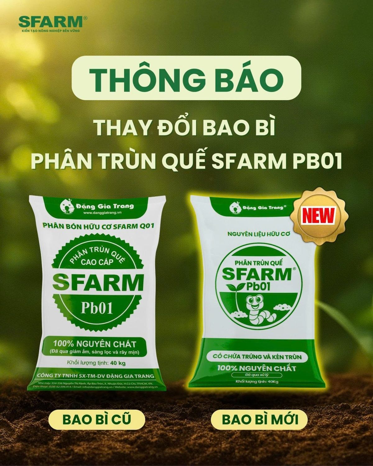 Phân trùn quế cao cấp Sfarm đã qua xử lý Chuyên bón cho rau sạch, kiểng lá và hoa hồng ảnh 2 — cây để bàn phong thuỷ mệnh hoả
