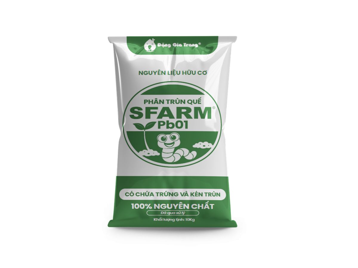 Phân trùn quế cao cấp Sfarm đã qua xử lý Chuyên bón cho rau sạch, kiểng lá và hoa hồng ảnh 8 — cây cảnh để bàn ở văn phòng