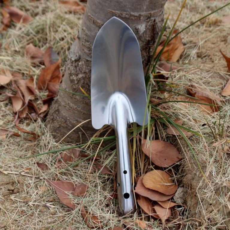 Xẻng làm vườn inox mini ảnh 5 — cây để bàn mini